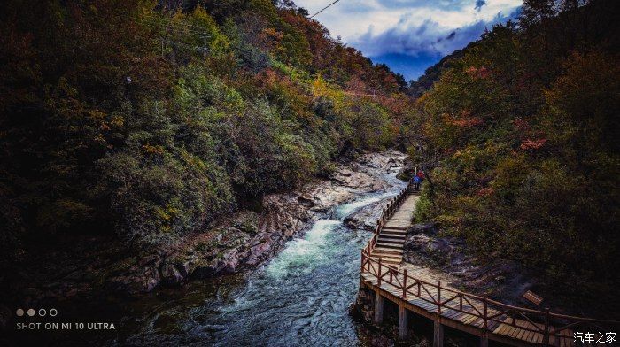 自然保护区|开着大唐去旅行——穿越太洋公路，赏黄柏塬醉美秋色（中篇）