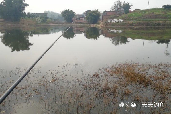 窝点|冬季钓鲫鱼，打窝一定不能将就，多用上几招，持久留鱼避免散窝