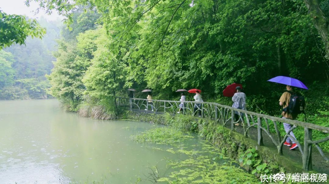 同程旅游|青田网丨恢复开园