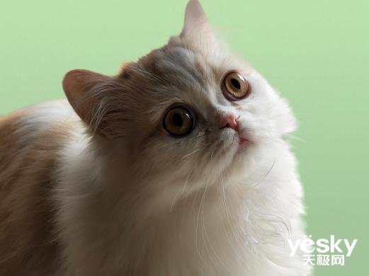 ultr“白天不懂夜的黑” 三星Galaxy S22 Ultra:我却更懂夜的美