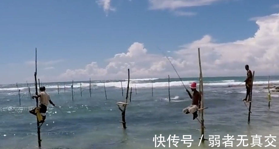 独一无二的钓鱼方式,不需要任何鱼饵,大鱼就自动上钩!