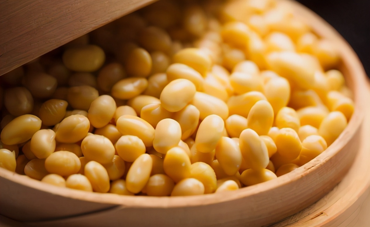 养花肥|这3样东西扔掉太可惜,学会正确方法制成养花肥,省钱、效果好