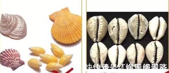 牙印@古代银子跟影视剧中的银子一样吗?你错了,其实上面全是牙印