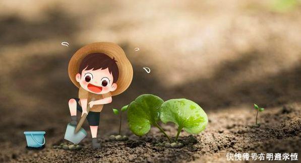 土壤|养花换下的土壤这样操作,就能无限循环