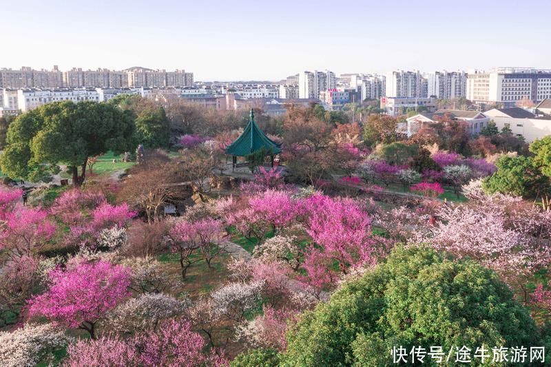 江南第一波花潮导航家庭出游 无锡梅园百年芳馨 聊赠一枝春 今日热点