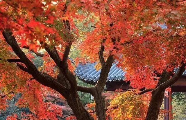 奇文|千古奇文《心相篇》20句话，看透人性，诠释人生，百读不厌