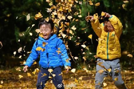 霜降&今日霜降，丹枫如火