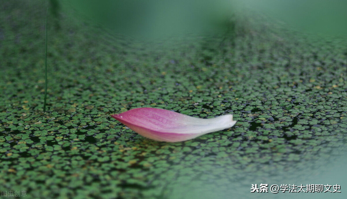 匈奴单于|王莽篡汉：干了许多蠢事，破坏汉匈关系，西汉雄风不再