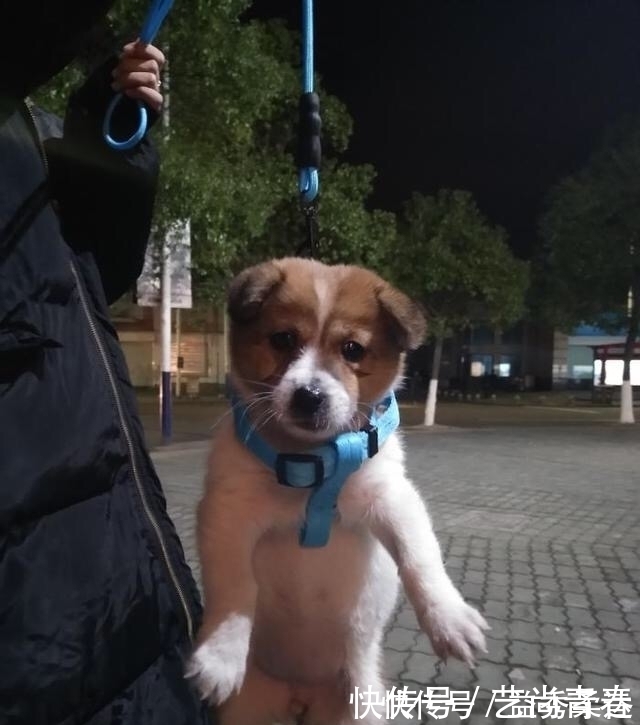 |开心笑话，傻瓜你长得丑，估计你得单身好久，就让你练练手劲