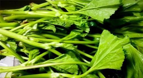 聪明的女性多吃3种食物，清热排毒抗衰老、补益身体，早吃早受益