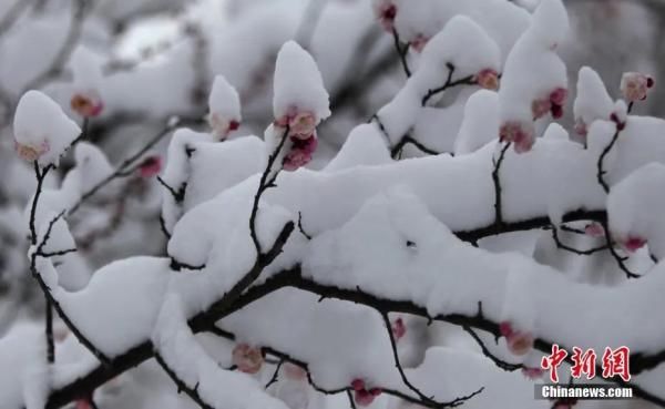 赴一场与冬天的约会|今日大雪 | 约会