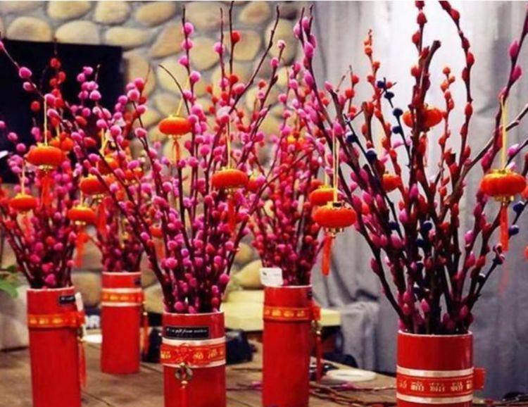 长寿花|4款艳美的花卉,花大色艳花期长,开花就爆盆,不易生病好养护