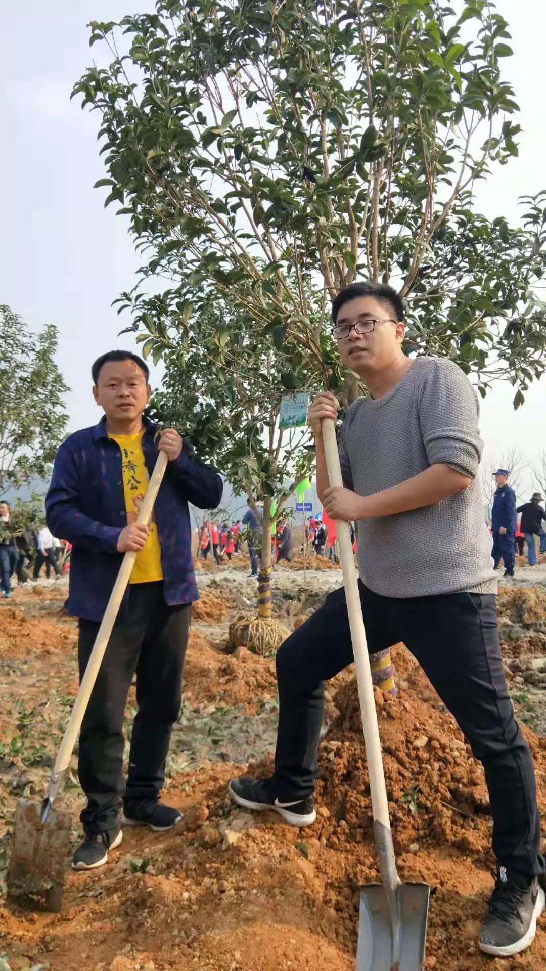 天台|点赞! 天台有一个“爱心鸽”, 好事做了木佬佬!