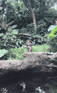 |搞笑GIF段子：其实这样的饭局我是不愿来的，拗不过同事们非要我来