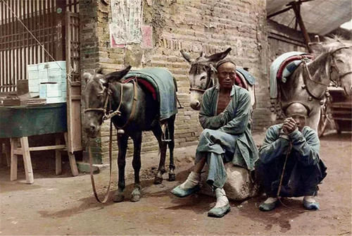 命案|西瓜无瓤,只存血水:清代瓜田命案始末