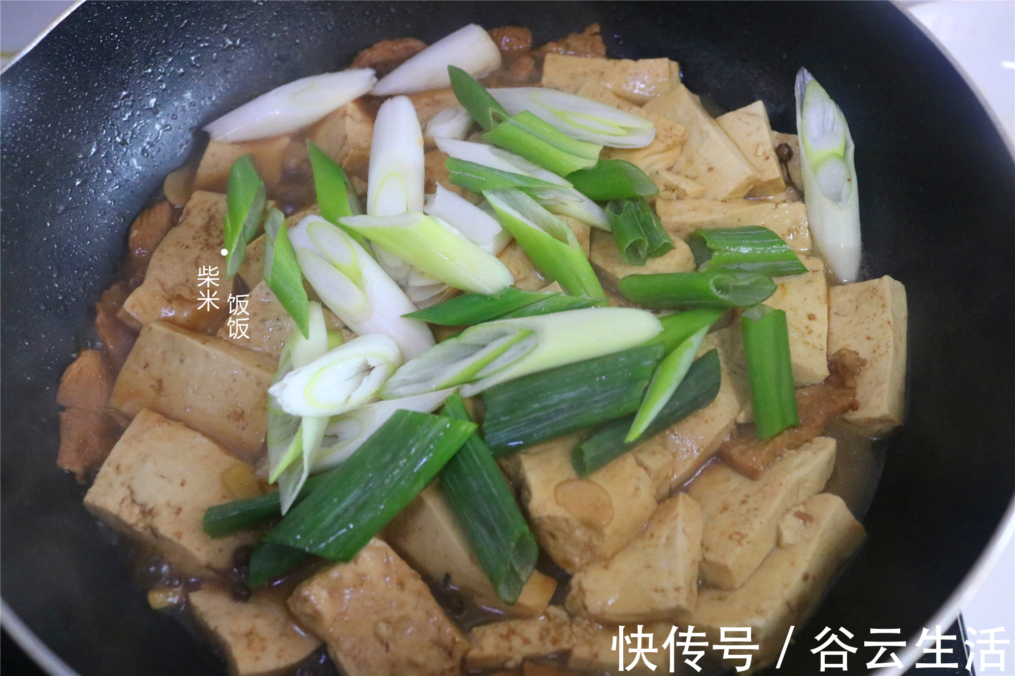 豆腐豆|三种常见食材,简单炖一锅,鲜香滋润,一年四季吃不腻