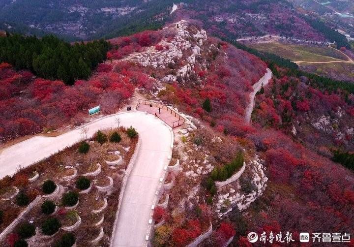 齐鲁壹点|济南东外环“怪坡”处，一座山都红透了