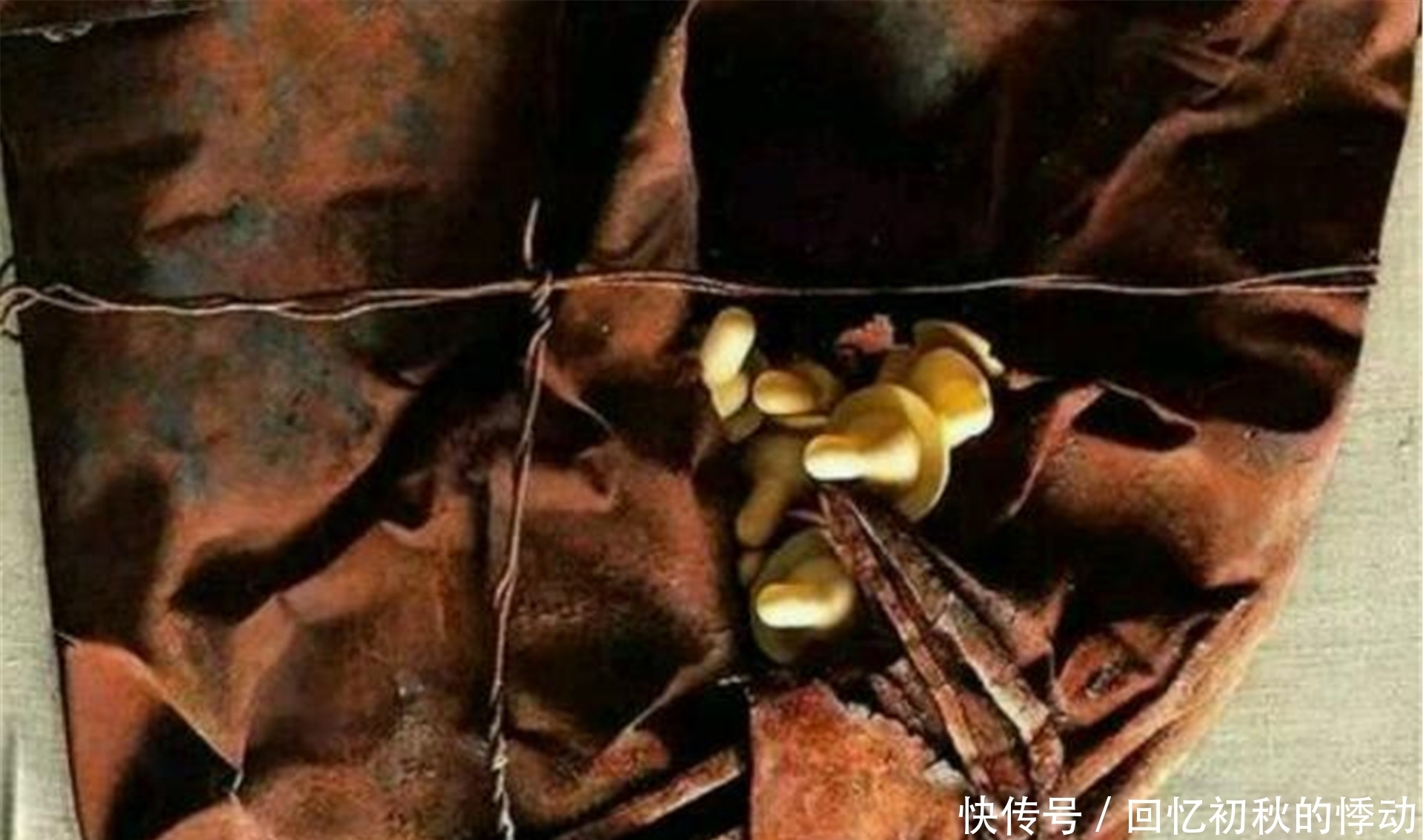 专家|他画一烂铁桶卖437万,被人批评看不懂,专家:放大9倍,看那奶嘴