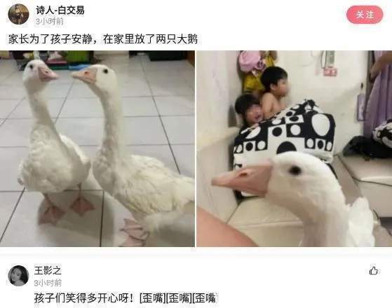 |搞笑合集:村子里有一群神秘人,整日打牌不愁吃喝,哪来的钱