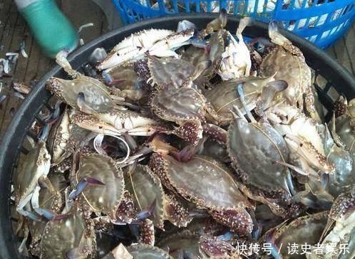 两块钱|这个地方的海鲜堆积成山,最便宜一斤卖两块钱,你知道是哪里吗