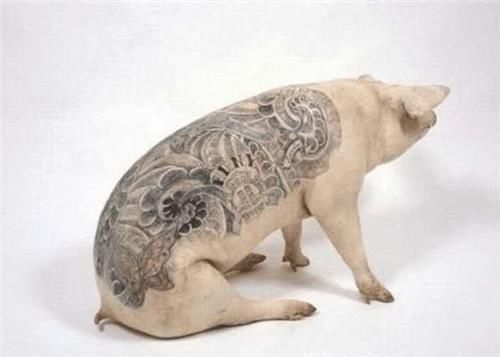 包包|他给猪纹身,因花纹独特,猪皮被香奈儿70万买走,做成限量版包包!