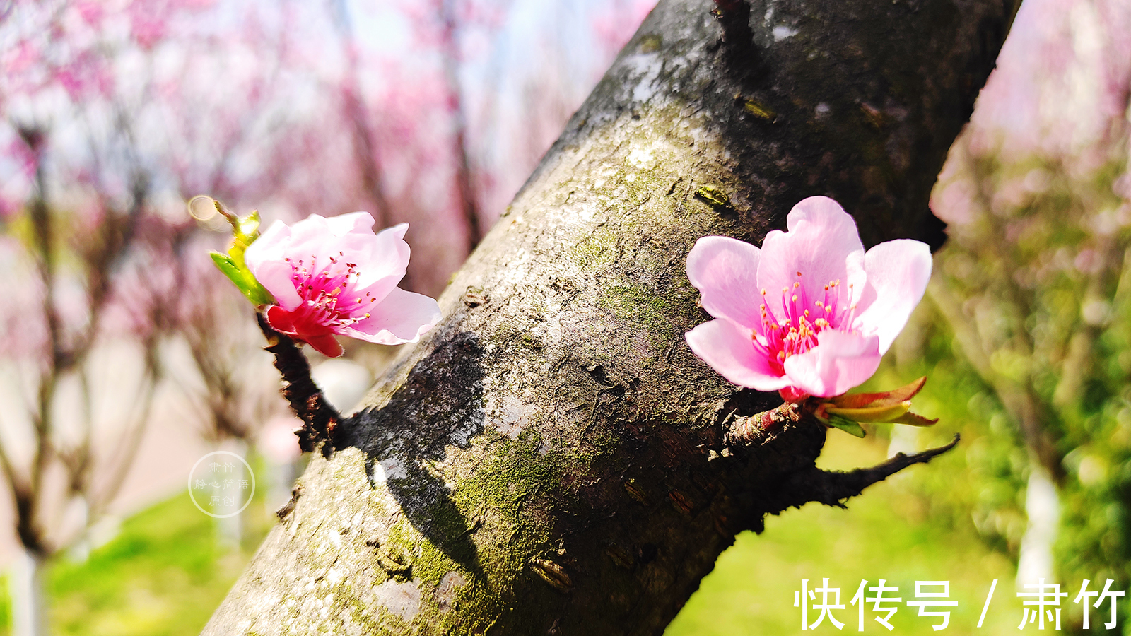 媒戒|你把别人的痛点抓在手中,人家会爽吗