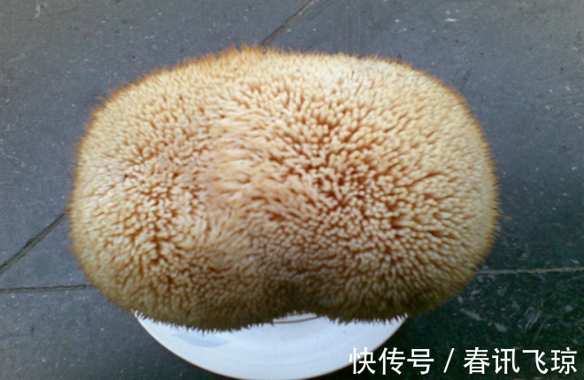 猴头菇|胃不好的人,晚上记住3吃2不吃,多喝1碗汤,防炎症,胃更好