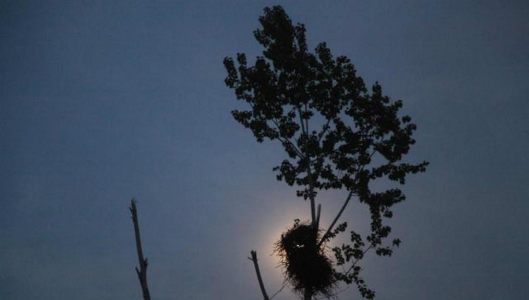 小修$明朝才子袁中道一首抒情诗,只有短短的20个字,却美得令人心醉!