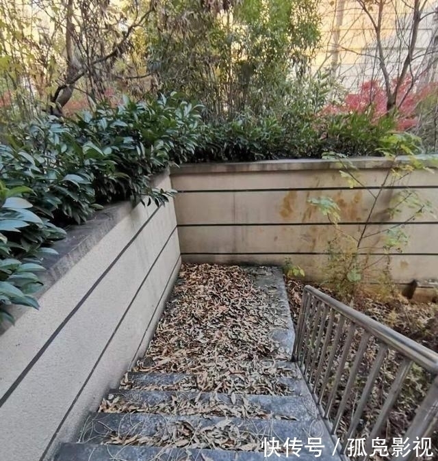 汀步|把70㎡庭院往下挖一层,与地下室连在一起,高低错落能当3个院子用