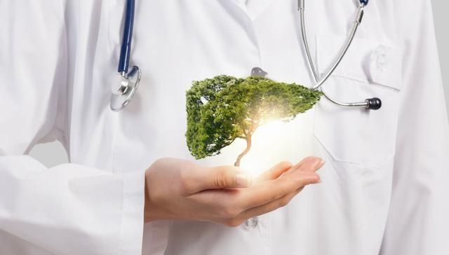 属性|好消息蒲公英的“绝配”找到了,春季去肝火,人也“肝净”了