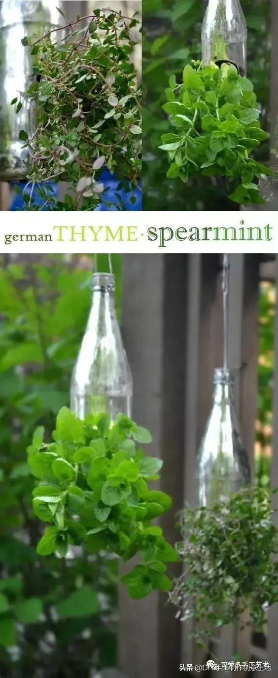 下次再有饮料瓶千万不要丢,看完这个你就明白了,附教程