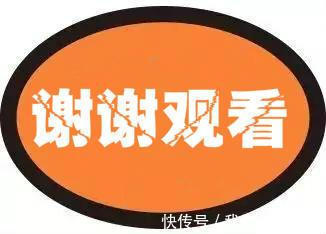 |开心一刻笑话喵星人的搞笑日常,一个个整装待发,谁给你的自信