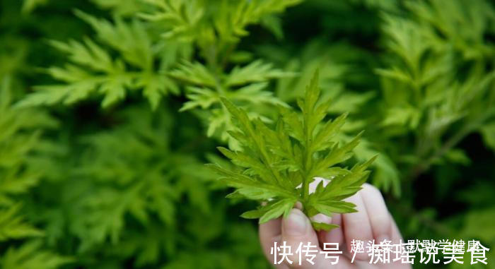 三伏贴|冬病夏治抓住一年中养阳的40天,阳虚的人记得提前安排好3件事