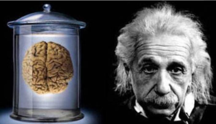 爱因斯坦临终前说了2句话,护士却听错了意思,最后大脑被偷走