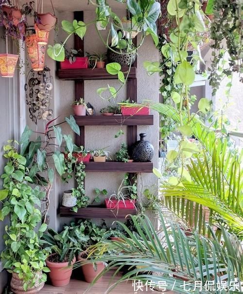 闲人|这样的阳台,那院子我也不换,美得太过分,今生只做个闲人了!