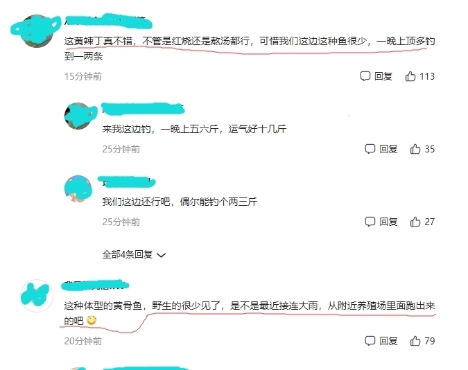 罗果果|广东一河道黄颡鱼“大暴走”，钓鱼人：很肥，大的半斤多