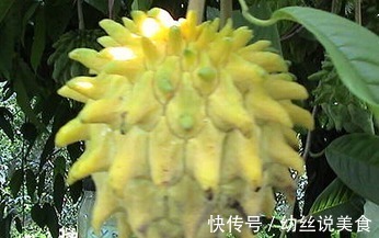 鱼子酱|有种高级坚果是女人最好的零食,每日吃几颗,改善记忆力,抗衰老