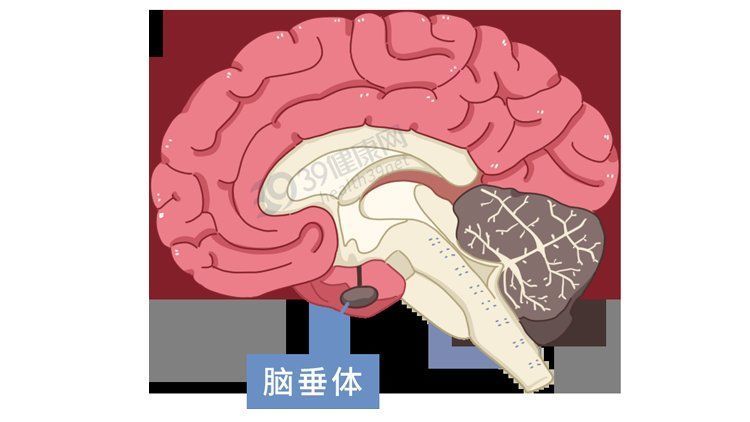 髓内针|做了断骨增高术的人，最后都怎样了？一旦失败，这3个后果在等着