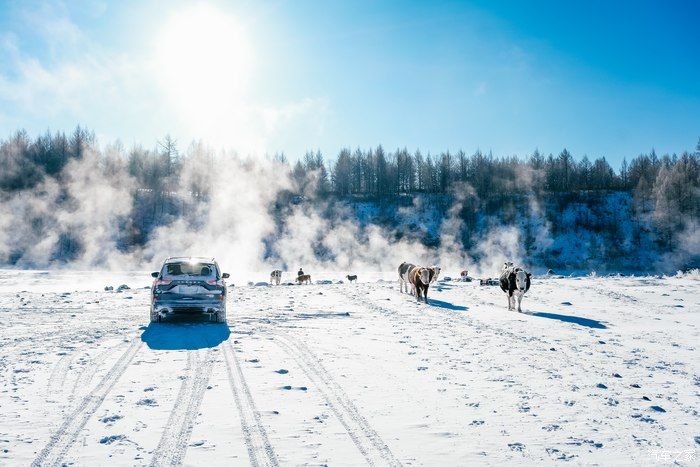 零下30度寻雪记，我见到了人间仙境，福特锐际自驾游