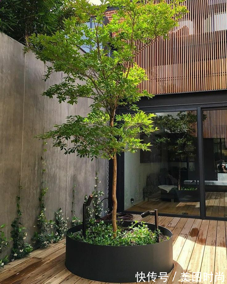 雨水|爆火的下沉式庭院设计,有条件一定要建一个,比别墅花园还好看