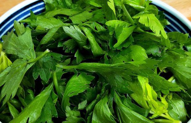 芹菜叶|吃芹菜为何不吃叶子你了解其中的真相吗为了健康不妨了解下