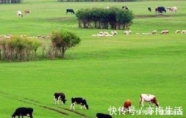 萋萋&十五首描写小草的古诗词,为君闲暇助兴,茶余饭后解闷