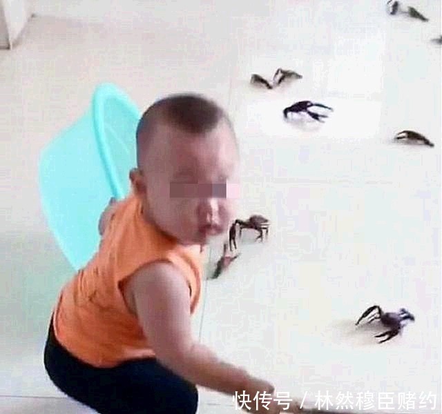 小龙虾|宝妈买完菜回来上了厕所,出来后感觉要崩了,宝妈亲生的不能扔