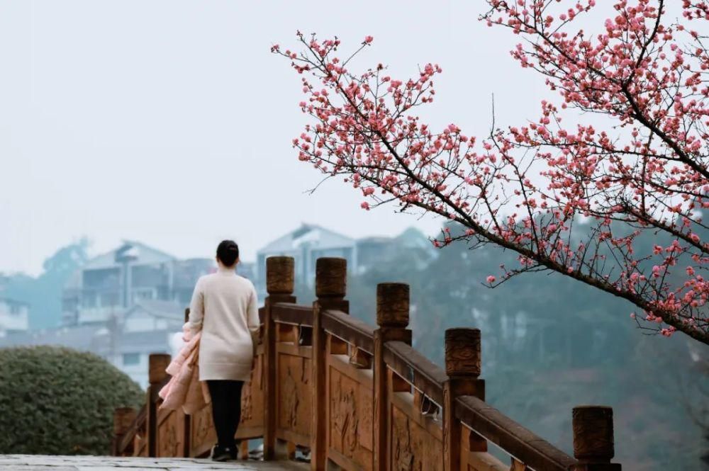 这个季节赏花踏青刚刚好~