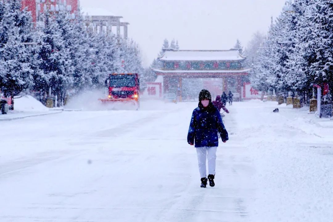 维生素c|今日大雪，读什么诗更浪漫？熬什么汤更养生？