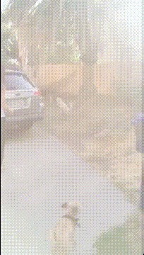 |搞笑GIF:护士小姐姐,快去工作吧,你还没下班呢,这么就玩起来了,这样不好