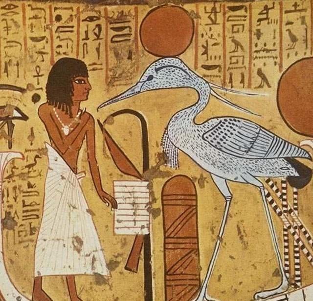  历史|印度女学者：古印度文明实际上是中国建立的，跟现代印度关系不大