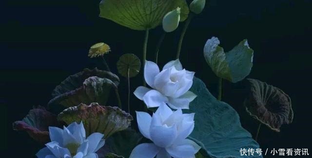 战胜|拯救世人,战胜疫情(一首赞美诗)