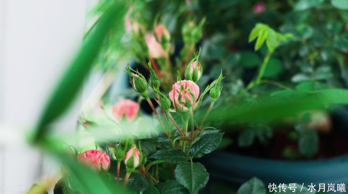  等待|你若安好，便是晴天，在一杯茶的光阴里，等待故人重逢