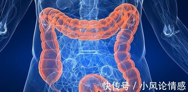 直肠癌|患直肠癌前,身体可能发出这4种“求救信号”,别犹豫及时就医